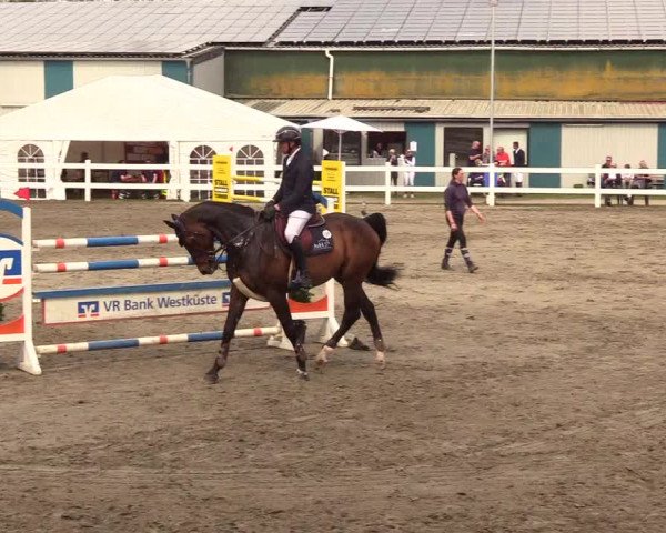 Reitturnier Mildstedt 2023