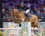 jumper Claire 159 (Oldenburg show jumper, 2011, from Centadel)