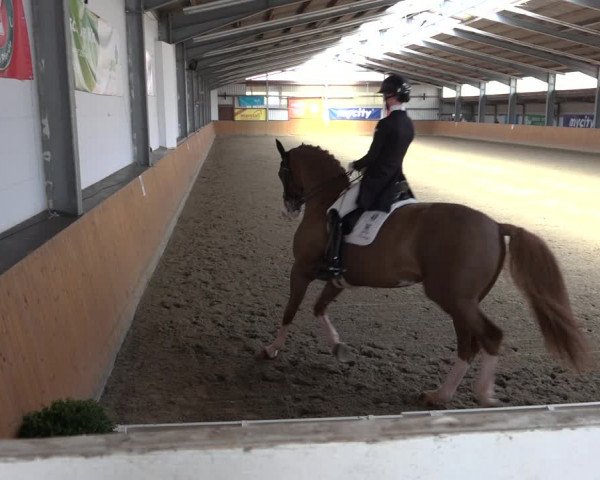 Reitturnier Schlieckau 2023