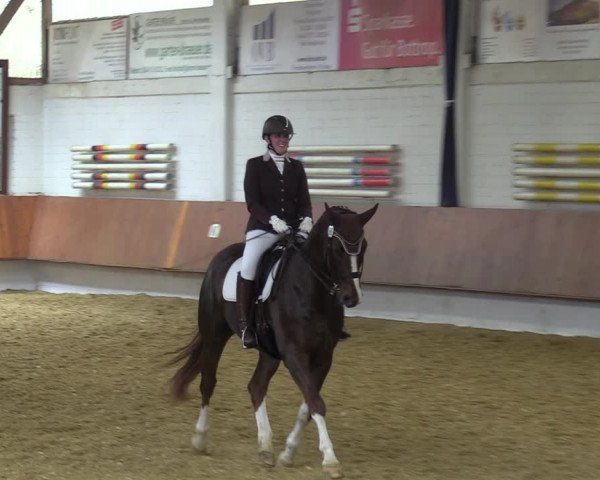 Reitturnier Bottrop 2023
