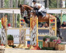 jumper Skip 59 (Hanoverian, 2010, from Stolzenberg)