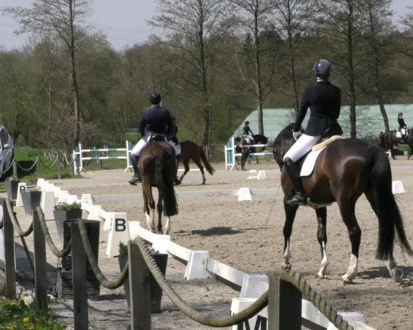 Reitturnier Handorf 2023