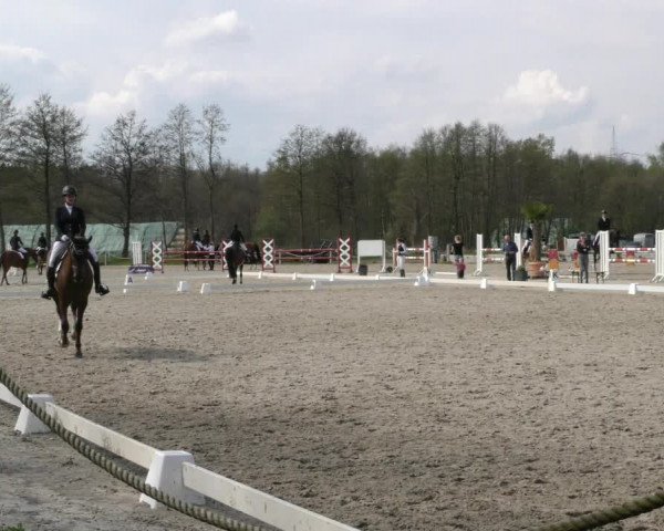 Reitturnier Handorf 2023