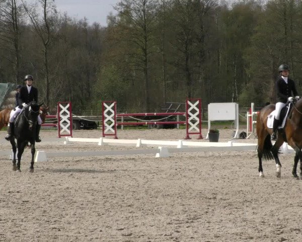 Reitturnier Handorf 2023