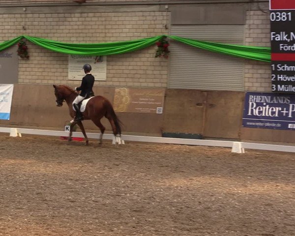 Reitturnier Leverkusen-Rheindorf 2023