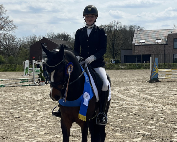 dressage horse Crystal Bloemendael (KWPN (Royal Dutch Sporthorse), 2018, from Orlando)