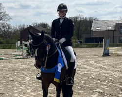 dressage horse Crystal Bloemendael (KWPN (Niederländisches Warmblut), 2018, from Orlando)