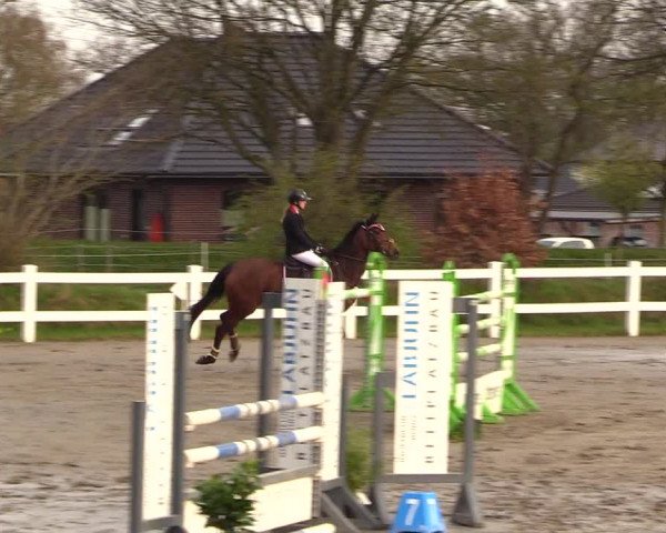 Reitturnier Mildstedt 2023