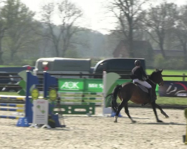 Reitturnier Diepholz 2023