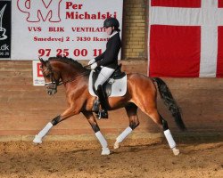 horse Bjerring's Trouble (Deutsches Reitpony, 2017, from Diamond Touch NRW)