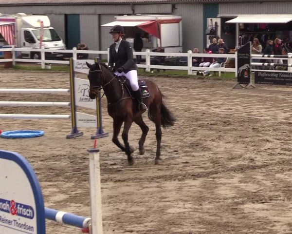 Reitturnier Mildstedt 2023