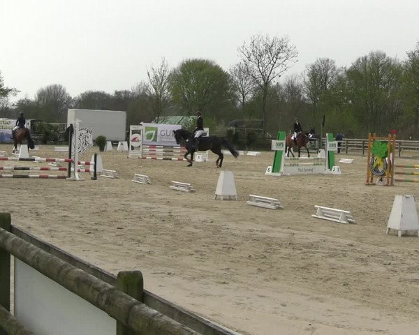 Reitturnier Nienberge 2023
