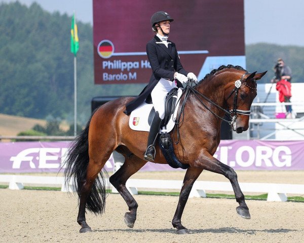 Dressurpferd Barolo M (Oldenburger, 2011, von Bordeaux 28)