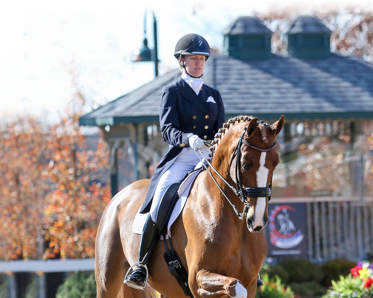 dressage horse Elfenfeuer (Oldenburg, 2007, from Florencio I)