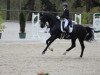 dressage horse Ballentine S (Westphalian, 2016, from Bordeaux 28)