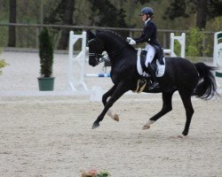 dressage horse Ballentine S (Westphalian, 2016, from Bordeaux 28)