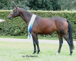 broodmare Saskari (Trakehner, 2004, from Askar AA)