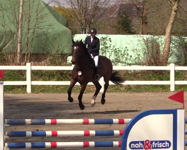 Reitturnier Mildstedt 2023