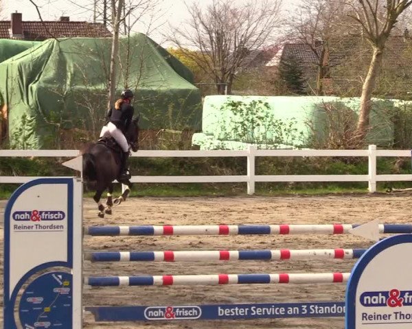 Reitturnier Mildstedt 2023