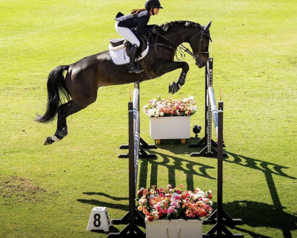 Springpferd Igor de Himbe (Belgium Sporthorse, 2014, von Kannan)