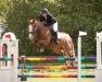 broodmare Freya S (Oldenburg show jumper, 2009, from Lordanos)