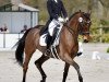 broodmare Laurentina E 2 (Hanoverian, 2012, from Laurent)