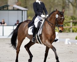 broodmare Laurentina E 2 (Hanoverian, 2012, from Laurent)