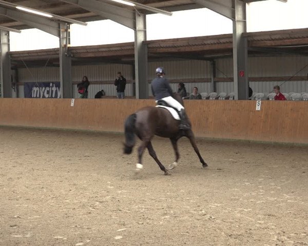 Reitturnier Schlieckau 2023