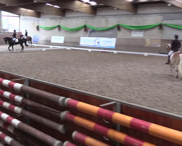 Reitturnier Leverkusen-Rheindorf 2023