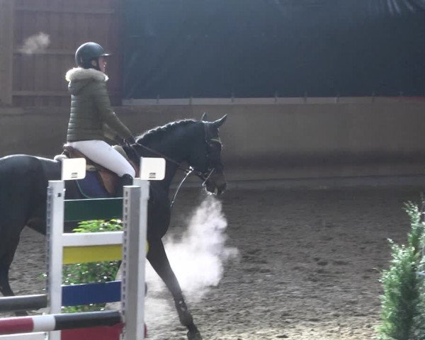 Reitturnier Schwendi 2021