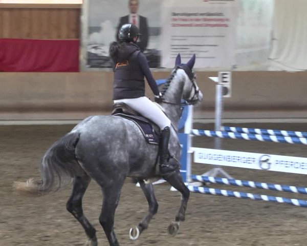 Reitturnier Schwendi 2021