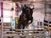 jumper Quick Step 97 (Hanoverian, 2018, from Qualito)