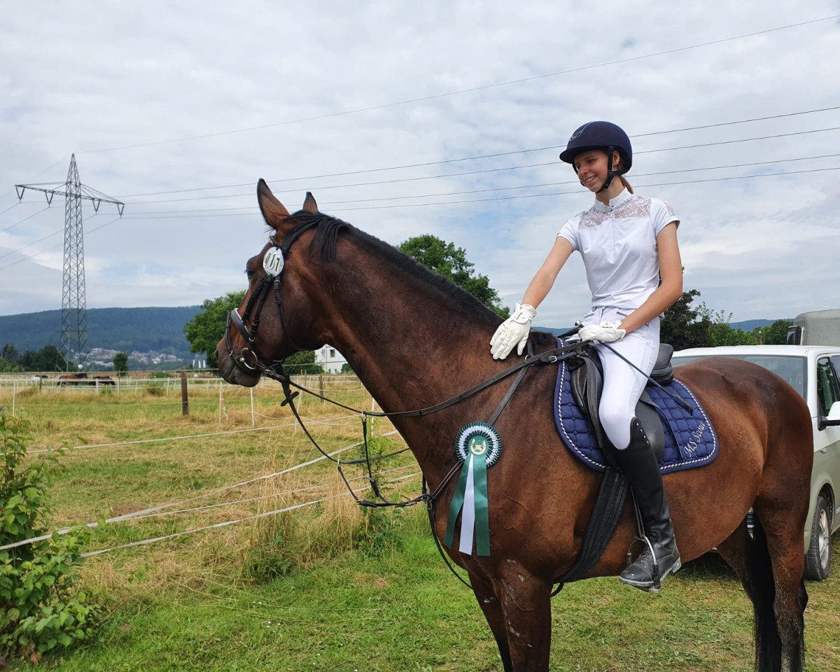 Springpferd Ms Scout (Hannoveraner, 2010, von Stakkato's Highlight)