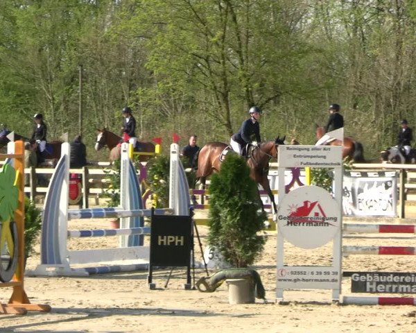 Reitturnier Nienberge 2023