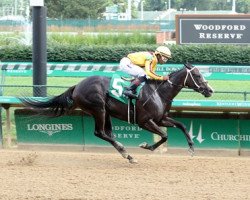 broodmare Flash Magic xx (Thoroughbred, 2018, from Pioneerof The Nile xx)