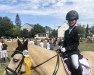 dressage horse Three-B Enfys (Welsh-Cob (Sek. C), 2014, from Three-B-Roy Roger)