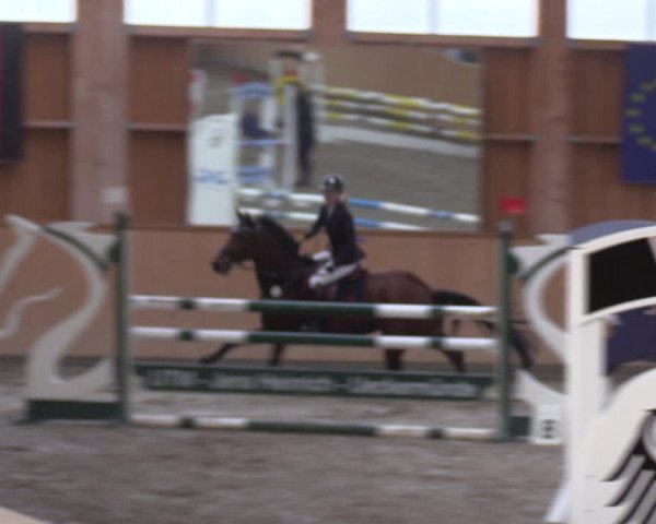 Reitturnier Polzow 2021