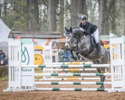 jumper Charles 113 (German Sport Horse, 2018, from Cassico)