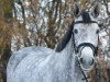 broodmare Alenica (German Sport Horse, 2017, from Cordolensky)