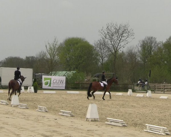 Reitturnier Nienberge 2023