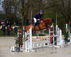 jumper Stalito (Hanoverian, 2016, from Stanley)