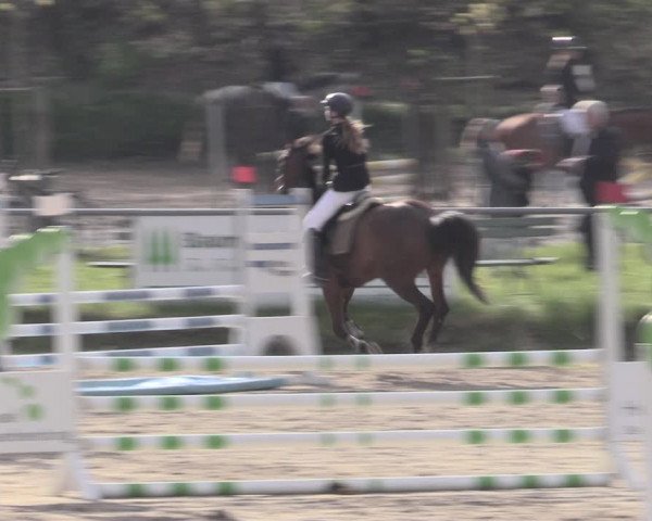 Reitturnier Lgl.-Oberhain, B95 2023