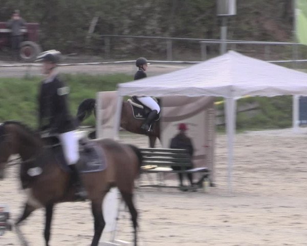 Reitturnier Lgl.-Oberhain, B95 2023