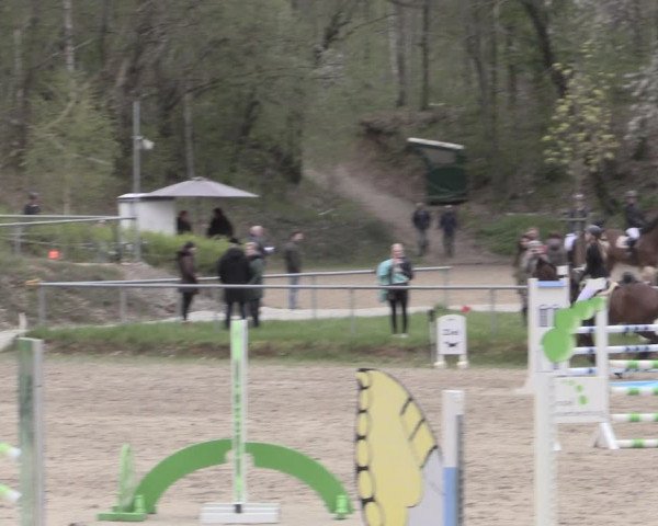 Reitturnier Lgl.-Oberhain, B95 2023
