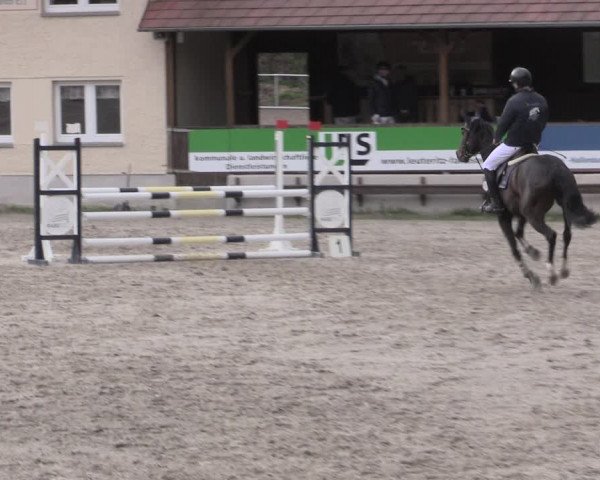 Reitturnier Lgl.-Oberhain, B95 2023