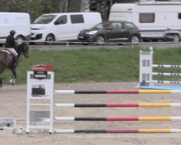 Reitturnier Lgl.-Oberhain, B95 2023