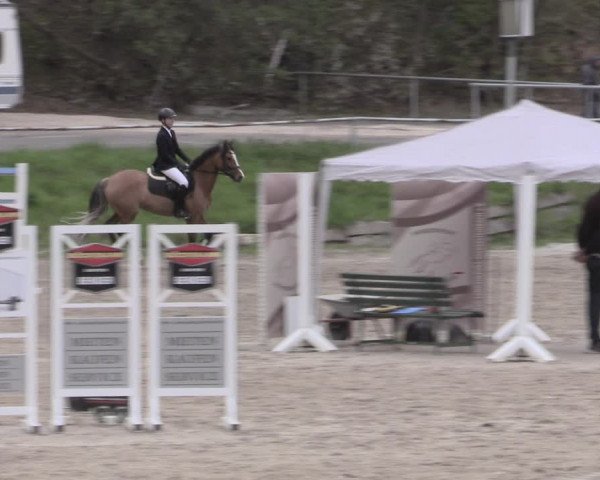 Reitturnier Lgl.-Oberhain, B95 2023