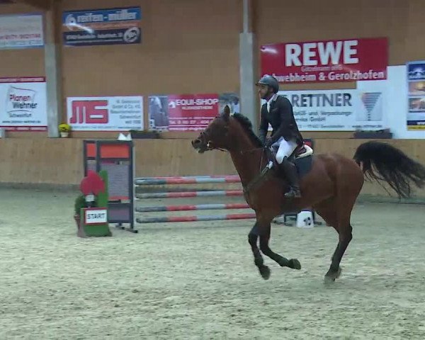 Reitturnier Grafenrheinfeld/Ufr. 2021