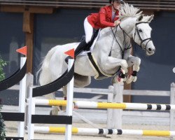 jumper Cupcake Girl Vh Lindenhof Z (Zangersheide riding horse, 2012, from Centurio 22)