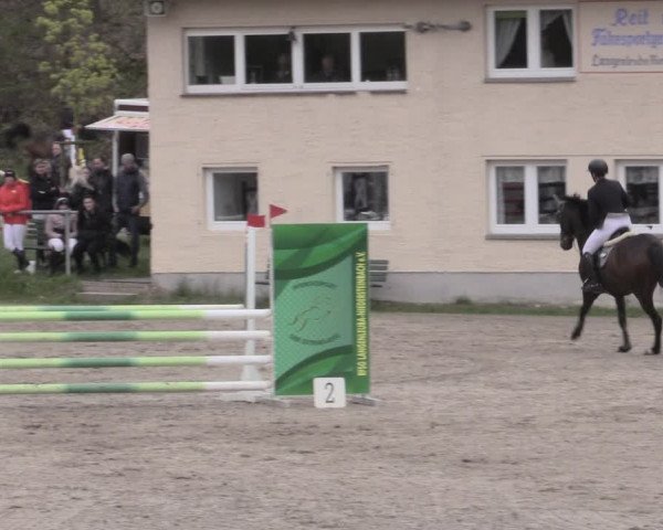 Reitturnier Lgl.-Oberhain, B95 2023